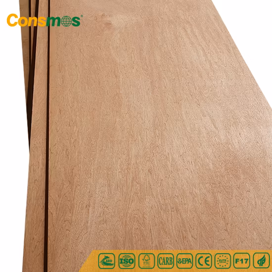 家具用合板/商業用合板/競争力のある価格の合板